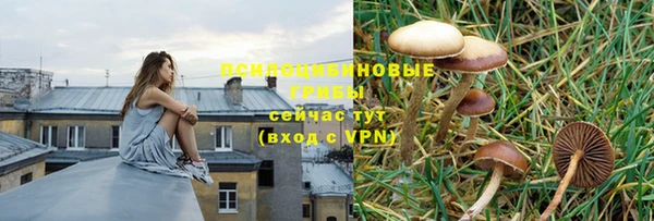 наркотики Алексин