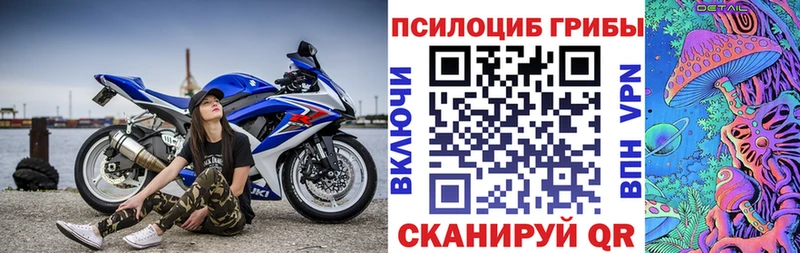 Купить  Карачев  Псилоцибиновые грибы GOLDEN TEACHER 